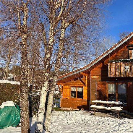 Chalet Chloe - Wifi, Bbq, Parking كسونبورت-لونجمير المظهر الخارجي الصورة