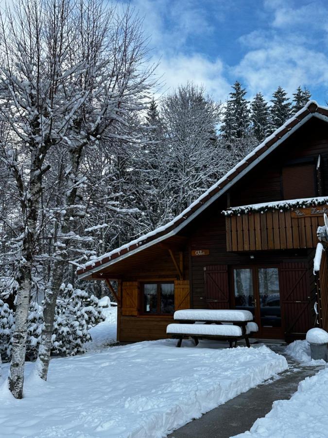 Chalet Chloe - Wifi, Bbq, Parking كسونبورت-لونجمير المظهر الخارجي الصورة
